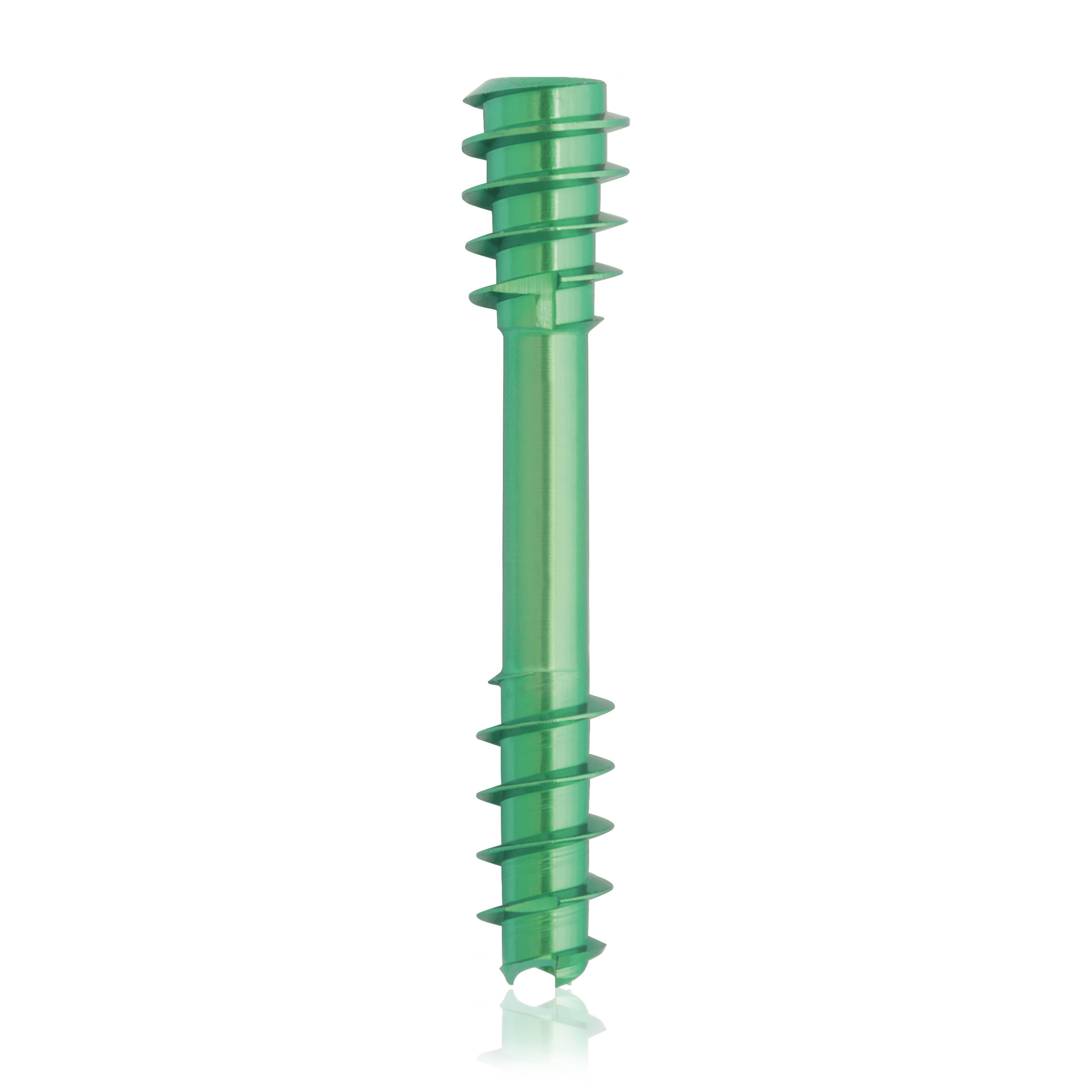 L = 24mm